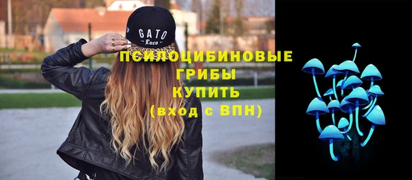 экстази Вяземский