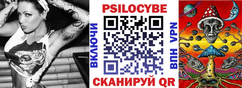 Купить где  Хилок  Галлюциногенные грибы Psilocybe 